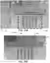 Fig. 15 - ELECTROCHEMICAL METHODS, DEVICES AND COMPOSITIONS
