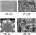 Fig. 19 - ELECTROCHEMICAL METHODS, DEVICES AND COMPOSITIONS