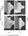 Fig. 12 - Three dimensional printing modality combining fused deposition modeling and electrospinning
