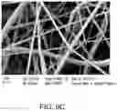 Fig. 14 - Three dimensional printing modality combining fused deposition modeling and electrospinning
