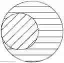 Fig. 01 - Eccentric core-sheath composite fiber and combined filament yarn