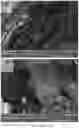 Fig. 05 - Method for sonochemical deposition of metals on textile substrates