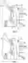 Fig. 11 - Swivelable adapter device for a skid steer loader having a pin locking mechanism