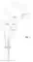 Fig. 02 - Magnetic coupling for sprayheads