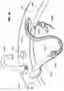 Fig. 57 - Integrated bathroom electronic system