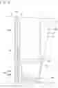 Fig. 13 - Reinforcement structure, equipment frame, and booth