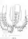 Fig. 03 - CLAW SHAPED GOUGING CUTTER FOR FIXED CUTTER DRILL BIT