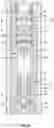 Fig. 05 - Reversing valve for hydraulic piston pump