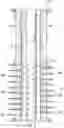 Fig. 03 - Annular volume filler for perforating gun