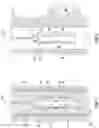 Fig. 03 - Method and apparatus for sub-terrain chlorine ion detection in the near wellbore region in an open-hole well