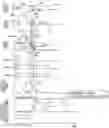 Fig. 01 - Drive device for fuel injection device
