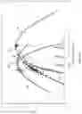 Fig. 15 - Yaw auto-calibration for a wind turbine generator