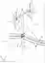 Fig. 01 - A WIND TURBINE WITH A CABLE SUPPORTING STRUCTURE