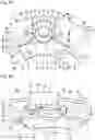 Fig. 13 - Torsional vibration damper