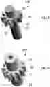 Fig. 08 - Pressure compensated external gear machine