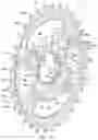 Fig. 13 - Bicycle sprocket