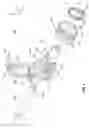 Fig. 05 - Cable supporting device