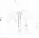Fig. 06 - Trigger-actuated grease applicator