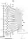 Fig. 05 - Vehicular headlight