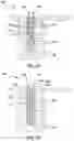 Fig. 13 - Method and apparatus for installing geothermal heat exchanger