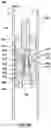Fig. 19 - Method and apparatus for installing geothermal heat exchanger