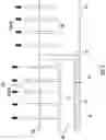 Fig. 06 - Heat exchanger for heat pump applications