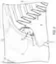 Fig. 04 - IMPACT RESISTANT STRUCTURAL RADIATOR TUBE