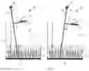 Fig. 04 - Device and method for determining a height of an agricultural product