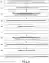 Fig. 08 - Chemical sensor kit and analysis method
