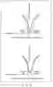 Fig. 14 - Chemical sensor kit and analysis method