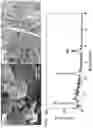 Fig. 05 - Methods and devices for real-time detection of fouling chemistry
