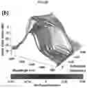 Fig. 13 - Methods and devices for real-time detection of fouling chemistry