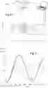 Fig. 04 - OPTICAL DEVICES FOR CALIBRATING, AND FOR ANALYZING THE QUALITY OF A GLAZING, AND METHODS