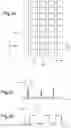 Fig. 07 - OPTICAL DEVICES FOR CALIBRATING, AND FOR ANALYZING THE QUALITY OF A GLAZING, AND METHODS