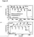 Fig. 09 - Single package optically-activated gas sensors