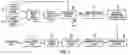 Fig. 02 - Method for rapid identification of pharmacologically active chemical entities associated with the efficacy of ethnobotanical substances