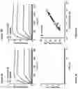 Fig. 04 - Method for high throughput peptide-MHC affinity screening for TCR ligands