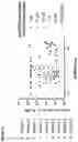 Fig. 07 - Method for high throughput peptide-MHC affinity screening for TCR ligands