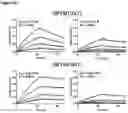 Fig. 09 - Method for high throughput peptide-MHC affinity screening for TCR ligands
