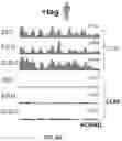Fig. 20 - Detection of molecular associations