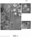Fig. 02 - Tissue-derived extracellular vesicles and their use as diagnostics