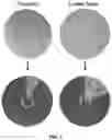 Fig. 04 - Epidermal microfluidic sensor for sweat collection and analysis from aquatic athletes
