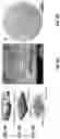 Fig. 07 - Epidermal microfluidic sensor for sweat collection and analysis from aquatic athletes