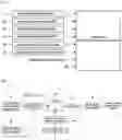 Fig. 02 - System and method for estimating wheel speed of vehicle