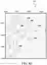 Fig. 09 - Characterizing depositional features by geologic-based seismic classification