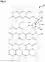 Fig. 04 - Cut pattern for film