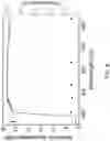 Fig. 07 - Elastomeric reflection suppressor