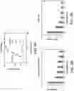 Fig. 10 - Elastomeric reflection suppressor