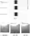 Fig. 05 - MARKER