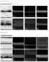 Fig. 12 - Decorative member and method for preparing same